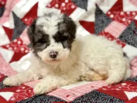 processed/8879fee5-4071-4343-86e7-67b54bb40ec8/listing/19018726-c935-4acf-85a9-e5c6cc485e7e/e6c76d75-5250-43b0-aef9-7f5d797acb66