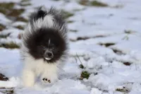 processed/8879fee5-4071-4343-86e7-67b54bb40ec8/listing/1d4a903d-8bdf-48f0-ad4b-cadfc77d0bb0/4a690ddf-858a-444a-97f0-7709c3ed4665