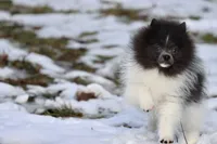 processed/8879fee5-4071-4343-86e7-67b54bb40ec8/listing/1d4a903d-8bdf-48f0-ad4b-cadfc77d0bb0/4ab90b4a-929e-4964-bcca-dc0d5c6f075e