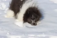 processed/8879fee5-4071-4343-86e7-67b54bb40ec8/listing/1d4a903d-8bdf-48f0-ad4b-cadfc77d0bb0/6a4ab567-59b3-4622-be43-5d48dd6b7d0b