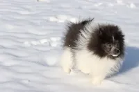 processed/8879fee5-4071-4343-86e7-67b54bb40ec8/listing/1d4a903d-8bdf-48f0-ad4b-cadfc77d0bb0/b0d57ae6-46dd-47b0-9557-0f51446d9745