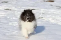 processed/8879fee5-4071-4343-86e7-67b54bb40ec8/listing/1d4a903d-8bdf-48f0-ad4b-cadfc77d0bb0/b803fcef-a676-461a-bfdd-37db397bfb45