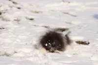 processed/8879fee5-4071-4343-86e7-67b54bb40ec8/listing/1d4a903d-8bdf-48f0-ad4b-cadfc77d0bb0/fd17b25a-2641-4de4-92bf-d36e3226282d