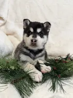 processed/8879fee5-4071-4343-86e7-67b54bb40ec8/listing/4f9a5998-4e74-467e-a8ae-ac0b611f4216/202926e6-5fd1-406c-b4d4-7a3998d47317