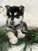 processed/8879fee5-4071-4343-86e7-67b54bb40ec8/listing/4f9a5998-4e74-467e-a8ae-ac0b611f4216/4fe442a4-65bc-4b21-b10c-7eb905ca0039