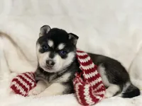 processed/8879fee5-4071-4343-86e7-67b54bb40ec8/listing/63ff3a0e-21b1-4d03-b277-712cb59e7467/920684ee-4929-430d-ad17-6d4df69320c3