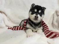 processed/8879fee5-4071-4343-86e7-67b54bb40ec8/listing/63ff3a0e-21b1-4d03-b277-712cb59e7467/fd679587-2d9a-4baa-925c-c101756b0d54