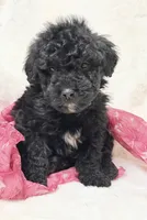 processed/8879fee5-4071-4343-86e7-67b54bb40ec8/listing/6837878a-2699-4c17-bbec-4eda81e284c6/387bb976-9e04-40aa-80b1-58bd471dad46