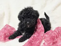 processed/8879fee5-4071-4343-86e7-67b54bb40ec8/listing/6837878a-2699-4c17-bbec-4eda81e284c6/6d099f84-cf71-4282-b353-b261b742a736