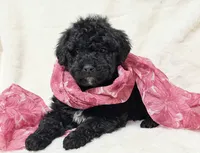 processed/8879fee5-4071-4343-86e7-67b54bb40ec8/listing/6837878a-2699-4c17-bbec-4eda81e284c6/96ff6913-eab4-4473-bc4e-bf0500618073