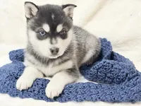 processed/8879fee5-4071-4343-86e7-67b54bb40ec8/listing/72bff02a-d9d9-4cc5-b9ff-cd7523e0b515/2ceaea80-dd7f-4274-8fca-e9799c000a6b