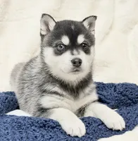 processed/8879fee5-4071-4343-86e7-67b54bb40ec8/listing/72bff02a-d9d9-4cc5-b9ff-cd7523e0b515/52eb5650-0d9d-4dc5-bb05-12e27104ed28