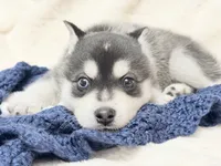 processed/8879fee5-4071-4343-86e7-67b54bb40ec8/listing/72bff02a-d9d9-4cc5-b9ff-cd7523e0b515/73287e55-4cfc-4dc9-ac72-256fe926fbed