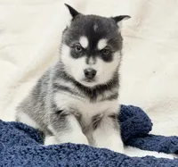 processed/8879fee5-4071-4343-86e7-67b54bb40ec8/listing/72bff02a-d9d9-4cc5-b9ff-cd7523e0b515/a95aa24b-7c36-43a8-b002-0e6f352c27e5