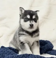 processed/8879fee5-4071-4343-86e7-67b54bb40ec8/listing/72bff02a-d9d9-4cc5-b9ff-cd7523e0b515/aeb483da-8f8b-4eca-88d6-684c2eaa535a