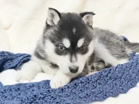 processed/8879fee5-4071-4343-86e7-67b54bb40ec8/listing/72bff02a-d9d9-4cc5-b9ff-cd7523e0b515/bf3aad13-c2d8-4f89-81f2-91fd7a2f3bc9