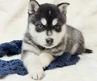 processed/8879fee5-4071-4343-86e7-67b54bb40ec8/listing/72bff02a-d9d9-4cc5-b9ff-cd7523e0b515/da39bd13-dbc3-497f-a60a-d463de33eef6