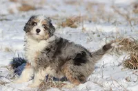 processed/8879fee5-4071-4343-86e7-67b54bb40ec8/listing/7c57be13-91cd-4ac6-8a19-4112432166ce/377e42c2-5f69-4c71-995a-30e8791923ef