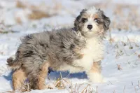 processed/8879fee5-4071-4343-86e7-67b54bb40ec8/listing/7c57be13-91cd-4ac6-8a19-4112432166ce/599eef76-2dc5-4cc1-935d-a8d0b8aee7ef