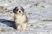 processed/8879fee5-4071-4343-86e7-67b54bb40ec8/listing/7c57be13-91cd-4ac6-8a19-4112432166ce/92ba43df-3c48-4423-8e26-824d82b4552a