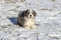 processed/8879fee5-4071-4343-86e7-67b54bb40ec8/listing/7c57be13-91cd-4ac6-8a19-4112432166ce/96a24a3d-0b88-4d94-b166-069cfdcfa60f