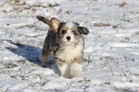 processed/8879fee5-4071-4343-86e7-67b54bb40ec8/listing/7c57be13-91cd-4ac6-8a19-4112432166ce/a5f97411-bb8f-41f1-b3a2-fdde5bb89e1a