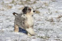 processed/8879fee5-4071-4343-86e7-67b54bb40ec8/listing/7c57be13-91cd-4ac6-8a19-4112432166ce/bd63cbd9-4d49-4df5-bccb-0384a14bbce1