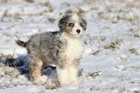 processed/8879fee5-4071-4343-86e7-67b54bb40ec8/listing/7c57be13-91cd-4ac6-8a19-4112432166ce/d1ab6bff-cd1f-4157-9692-b1ca77f6aab2