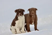 processed/8879fee5-4071-4343-86e7-67b54bb40ec8/listing/92fb02a5-99c2-4807-b6c0-7abe59d6d301/8b78caed-294a-4ec3-80d4-0f4103f5481a