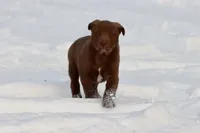 processed/8879fee5-4071-4343-86e7-67b54bb40ec8/listing/92fb02a5-99c2-4807-b6c0-7abe59d6d301/b0d965f2-4e4d-4e24-bd61-2323ea3952ef