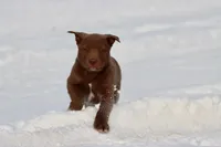 processed/8879fee5-4071-4343-86e7-67b54bb40ec8/listing/92fb02a5-99c2-4807-b6c0-7abe59d6d301/e3290be4-d03e-4795-83b6-0f2e63044a04