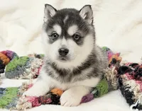 processed/8879fee5-4071-4343-86e7-67b54bb40ec8/listing/99aa9ba1-6951-425b-99c5-5ad580a2f97f/2bd88489-84a1-4d8e-bf6c-a25a87a3110f