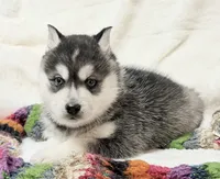 processed/8879fee5-4071-4343-86e7-67b54bb40ec8/listing/99aa9ba1-6951-425b-99c5-5ad580a2f97f/2df1be2a-4d6c-4619-a5dc-4f4da04d28f5