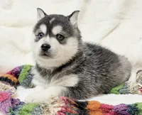 processed/8879fee5-4071-4343-86e7-67b54bb40ec8/listing/99aa9ba1-6951-425b-99c5-5ad580a2f97f/b74eef5c-1c84-4adb-832e-b253e9bd05f8