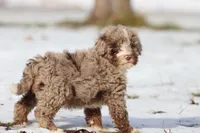 processed/8879fee5-4071-4343-86e7-67b54bb40ec8/listing/a8f0b750-03cd-4ae7-9277-366c07a88cf8/07acf3aa-3574-4ee1-bb55-5c6de7f1bea7