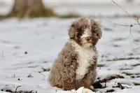 processed/8879fee5-4071-4343-86e7-67b54bb40ec8/listing/a8f0b750-03cd-4ae7-9277-366c07a88cf8/1f537541-32ac-49e8-9aa3-5b568ab80b5d