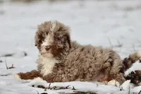 processed/8879fee5-4071-4343-86e7-67b54bb40ec8/listing/a8f0b750-03cd-4ae7-9277-366c07a88cf8/30f14bf0-44e1-4ebb-9f84-a3c62067838f