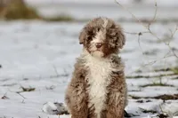 processed/8879fee5-4071-4343-86e7-67b54bb40ec8/listing/a8f0b750-03cd-4ae7-9277-366c07a88cf8/689a4e09-0b01-4f26-ae22-7c849a9a0039