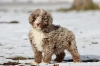 processed/8879fee5-4071-4343-86e7-67b54bb40ec8/listing/a8f0b750-03cd-4ae7-9277-366c07a88cf8/b2801d83-38ba-4a1d-9e33-d146a9671728