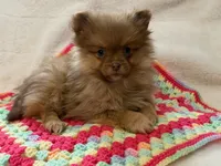 processed/8879fee5-4071-4343-86e7-67b54bb40ec8/listing/b09d8d9e-e01d-4a80-b674-f09601a22b68/1a8f1432-ed90-42ab-ae2f-4760a3fc379c