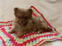 processed/8879fee5-4071-4343-86e7-67b54bb40ec8/listing/b09d8d9e-e01d-4a80-b674-f09601a22b68/3649ffd0-8d09-42de-b6db-0641bf302a95