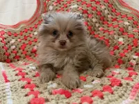 processed/8879fee5-4071-4343-86e7-67b54bb40ec8/listing/b65e68b6-8fcd-42b7-ad03-8f5a74ff9cb5/5285f26d-3a50-4df9-899f-cdf3a3b8d7a8