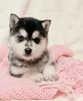 processed/8879fee5-4071-4343-86e7-67b54bb40ec8/listing/bfe2b106-1fc9-4d88-ab7a-df90b36e5dc6/1a99c3e8-a86b-4b2c-a566-1d2f17820222