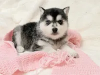 processed/8879fee5-4071-4343-86e7-67b54bb40ec8/listing/bfe2b106-1fc9-4d88-ab7a-df90b36e5dc6/1d3ce69f-44c0-41cf-abe4-63bc8f35478d