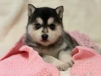 processed/8879fee5-4071-4343-86e7-67b54bb40ec8/listing/bfe2b106-1fc9-4d88-ab7a-df90b36e5dc6/90510a13-9208-44f0-92f1-e6fd5bab9481