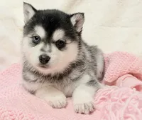 processed/8879fee5-4071-4343-86e7-67b54bb40ec8/listing/bfe2b106-1fc9-4d88-ab7a-df90b36e5dc6/e928a47b-29ec-4fe4-9b9f-0612d4828d0b