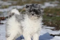 processed/8879fee5-4071-4343-86e7-67b54bb40ec8/listing/c47fa40f-d6ec-422c-9c55-20040894e9ab/37bc8993-0509-49e6-955c-7ba52ea1da2d