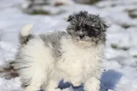 processed/8879fee5-4071-4343-86e7-67b54bb40ec8/listing/c47fa40f-d6ec-422c-9c55-20040894e9ab/58d329bc-e50d-4304-a4ed-f78e25b046c1