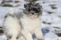 processed/8879fee5-4071-4343-86e7-67b54bb40ec8/listing/c47fa40f-d6ec-422c-9c55-20040894e9ab/5d4f8608-3781-486a-8f03-b74195730f28