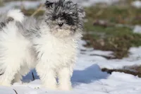 processed/8879fee5-4071-4343-86e7-67b54bb40ec8/listing/c47fa40f-d6ec-422c-9c55-20040894e9ab/604e23eb-fd88-44bb-9f1f-419d35b78e4c